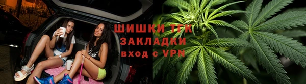 крисы Шали