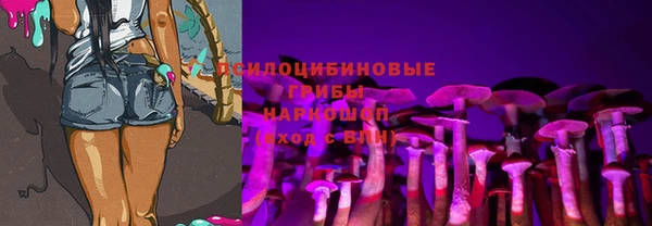 круглые Белокуриха
