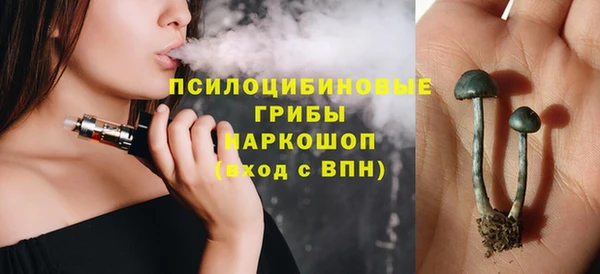 дмт Богородск