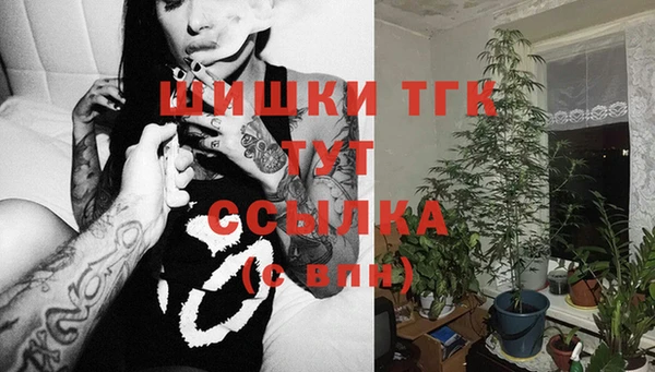 дмт Богородск