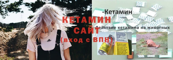 дмт Богородск