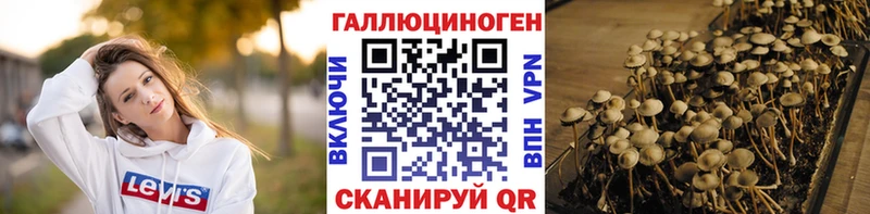 наркошоп  Южно-Сахалинск  Галлюциногенные грибы Psilocybe 