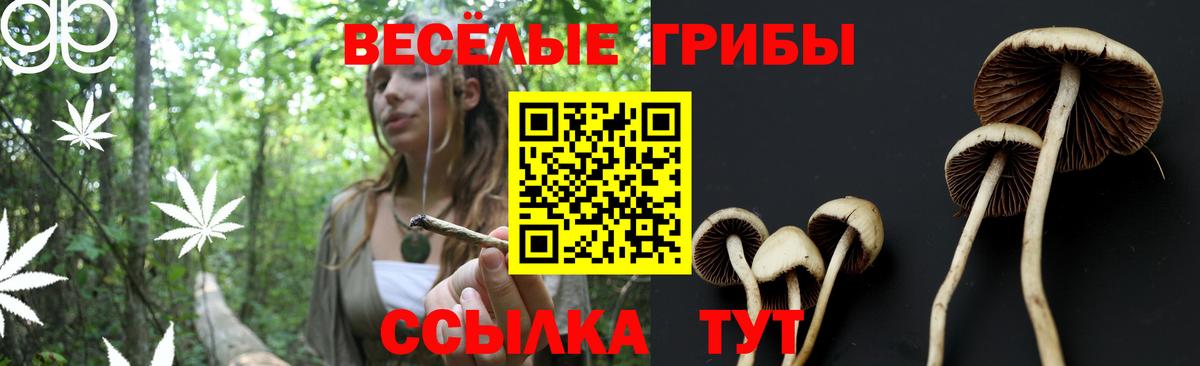 Южно-Сахалинск  Псилоцибиновые грибы Psilocybine cubensis  Вход с VPN 